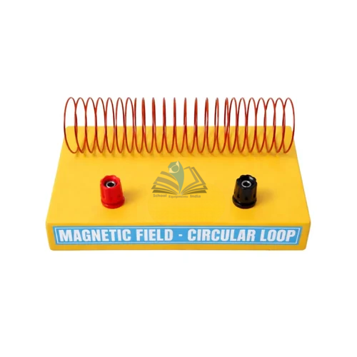 Magnetic Field Along Circular Loop
